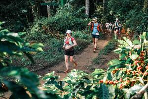 BIB: 
                            <button type="button" onclick="openModal(25841096)" class="btn btn-primary btn-sm float-right btn-popup" data-toggle="modal" data-target=".modal-high-quality">
                        <i class="fas fa-shopping-cart"></i> Add to Cart
                    </button>
                                            <button type="button" onclick="isThisMe(25841096, true)" class="btn btn-success btn-sm float-right btn-popup btn-isme hidden" data-toggle="tooltip" data-placement="bottom" title="นี่คือรูปของคุณใช่ไหม คลิกที่นี่เพื่อเอาเข้าอัลบั้ม">
                        <i class="fas fa-plus"></i> Add to album
                    </button>
                    <button type="button" onclick="isThisMe(25841096, false)" class="btn btn-warning btn-sm float-right btn-popup btn-isnotme hidden">
                        <i class="fas fa-ban"></i> Remove from album
                    </button>